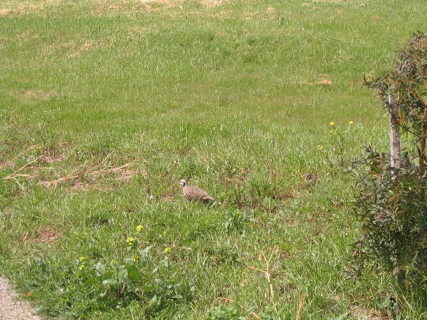 Picture 0156.jpg